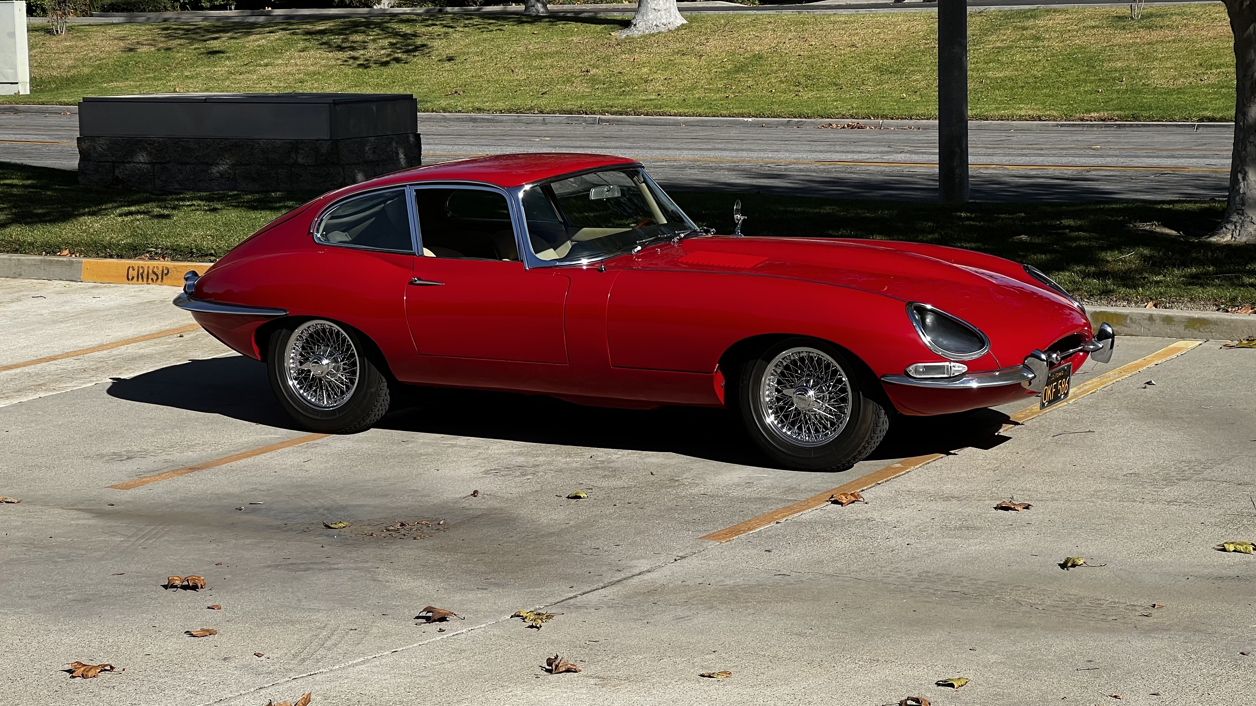 1956 Jaguar D-Tpye